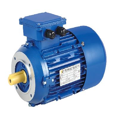 Three Phase AC Motors
