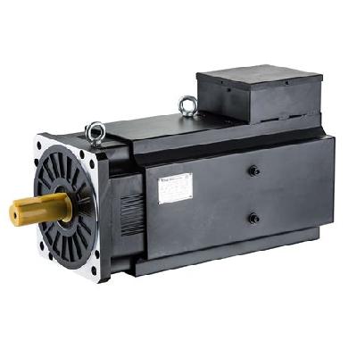 AC Synchronous Servo Motors