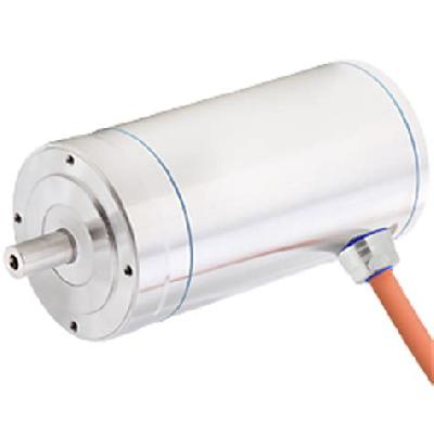 Stainless Steel AKMH Series Motors