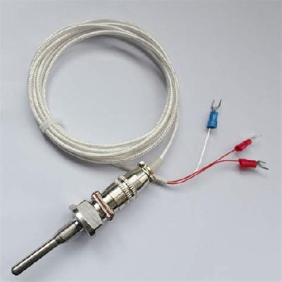RTD Temperature Sensor
