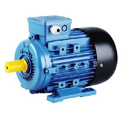 Three Phase Induction Motor