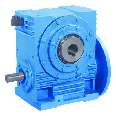 Vertical Industrial Worm Gearbox