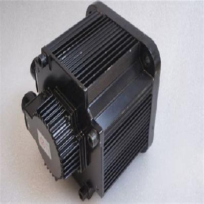 AC Induction Servo Motors