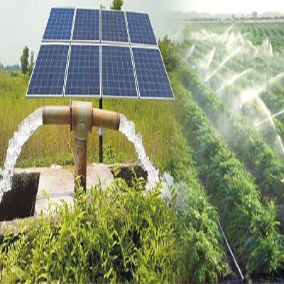 Irrigation Applications Solar Water Pump