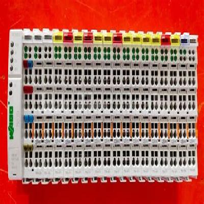 Wago 750-333 750-433 750-531 PLC (Programmable Logic Controller)