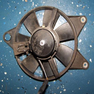 Radiator Fan Motor