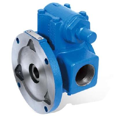 Internal Gear Pump