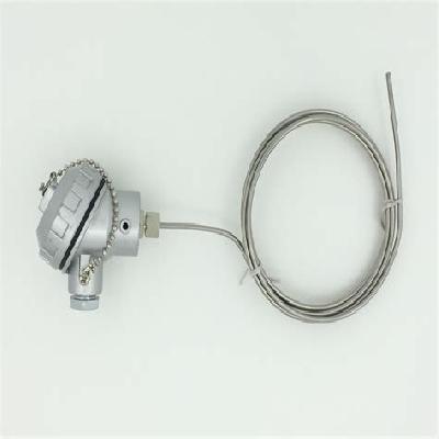 Rtd Thermocouple