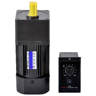 120w Compact AC Gear Motor with Speed Controller