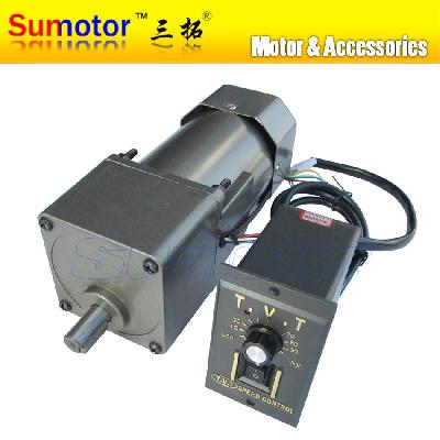 60W AC Gear Motor With Speed Controller