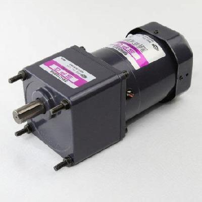 DZ 6W 60 MM AC Gear Motor With Speed Controller