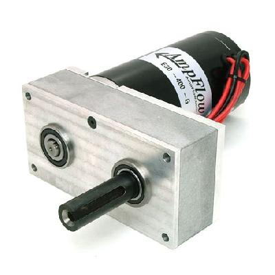 Impulse 20 RPM DC Gear Motor