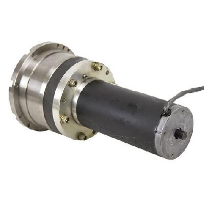 Impulse 25 RPM DC Gear Motor