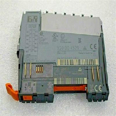 B And R X20 DO 4529 Digital Output Module