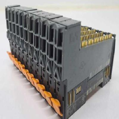 B And R X20 DS 1319 Digital Module