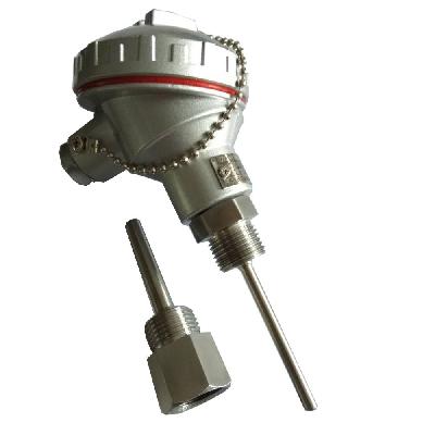 PT100 RTD Sensor