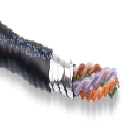 Belden YJ72029 Cable
