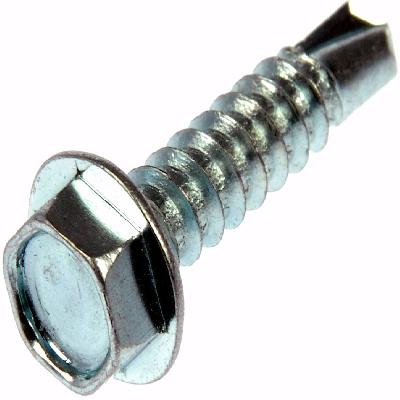 Self Tapping Screw