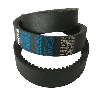 Banded Belt