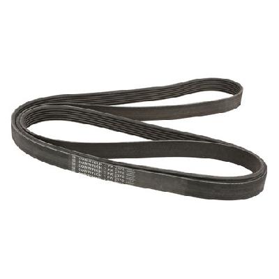 Multi Ribbed Belts