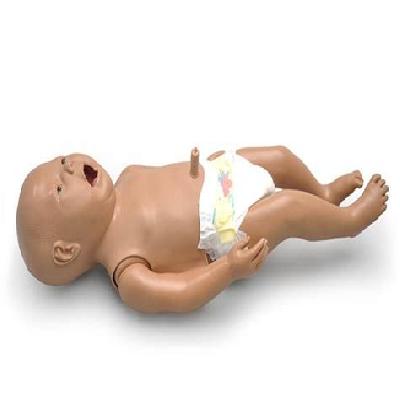 Baby Simulator Human Anatomical Models