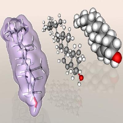 Cholesterol Model