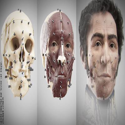 Measel Face Forensic Models