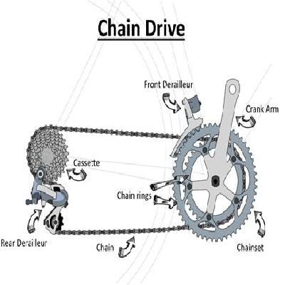 Chain Drive System