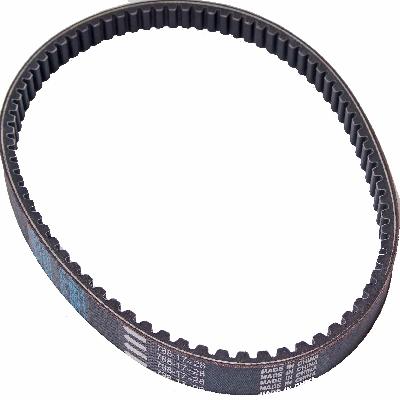 Variable Speed Belts