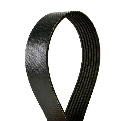 Continental  V Belt