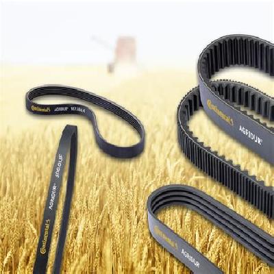 Drive Belt