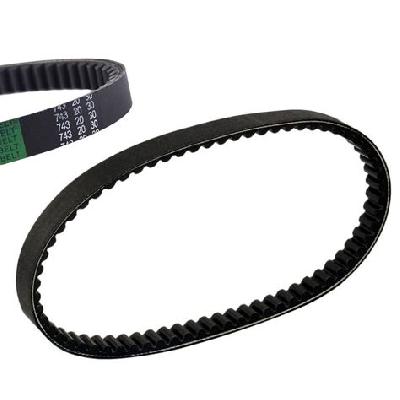 Drive Belts