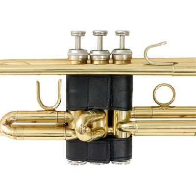 Valve Gaurd
