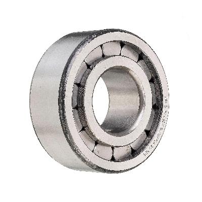 Single Row Cylindrical Roller Bearings