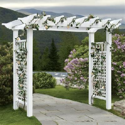 Arbor