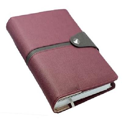Corporate Diary