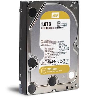 WD100 Internal Hard Disk