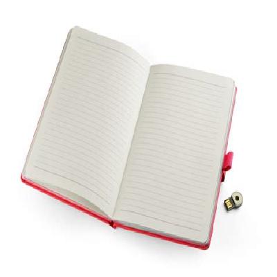 A5 USB Notebook(16)
