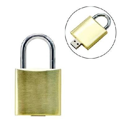 Lock Shape USB Pen drive
