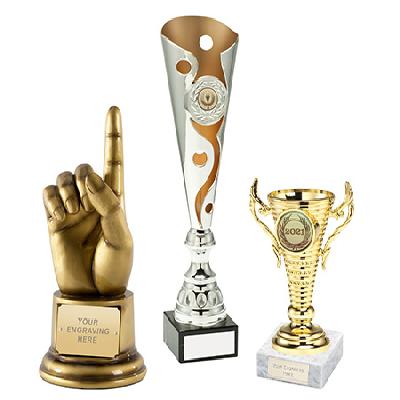 Corporate Trophy