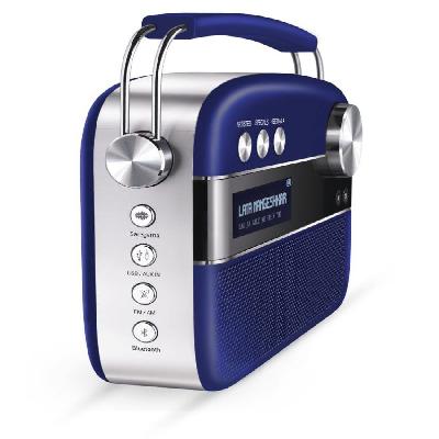 Saregama Carvaan Bluetooth Speaker
