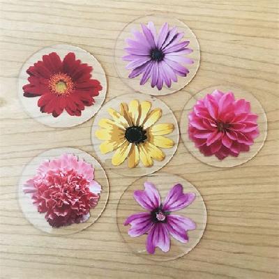 Premium Acrylic Printed Coasters