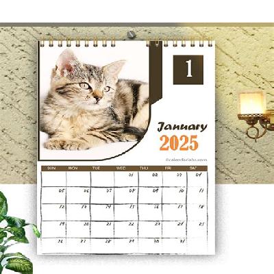Printed Wall Calendar