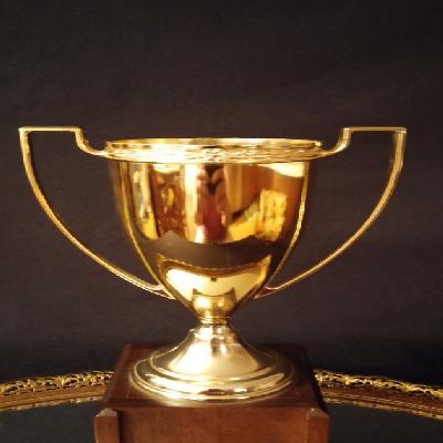 Premium Gold Plated Brass Trophy