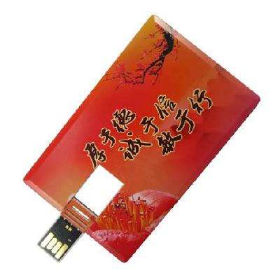 Visiting Card USB Pen Drive