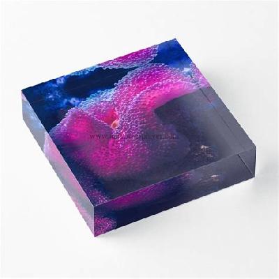 Round Acrylic Paper Weight