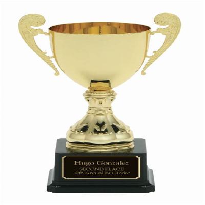 Corporate Trophies