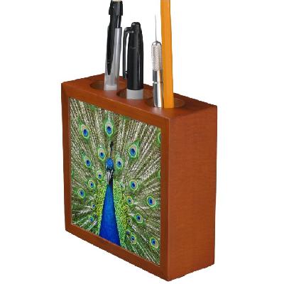 Peacock With Pen Holder Gift Set