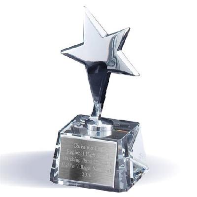 Star Metal Award Trophy