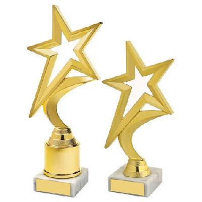 Star Award